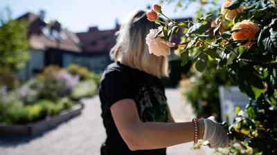 Úspěchy projektu Do praxe bez bariér